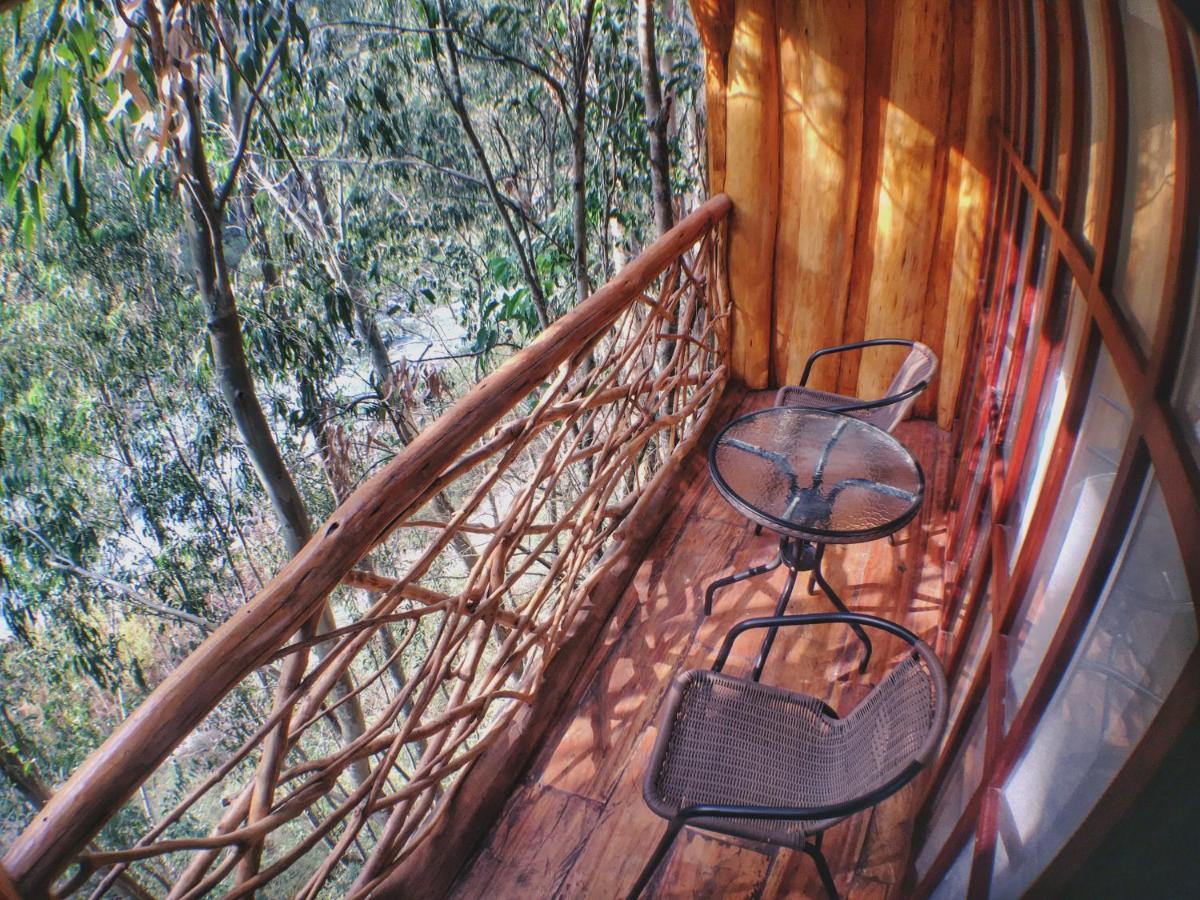 盖丘亚生态山林小屋 圣特雷莎 外观 照片